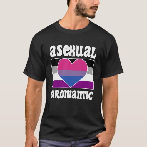 Asexual Biromantic Pride Flag Cute  Ace Aesthetic T_Shirt