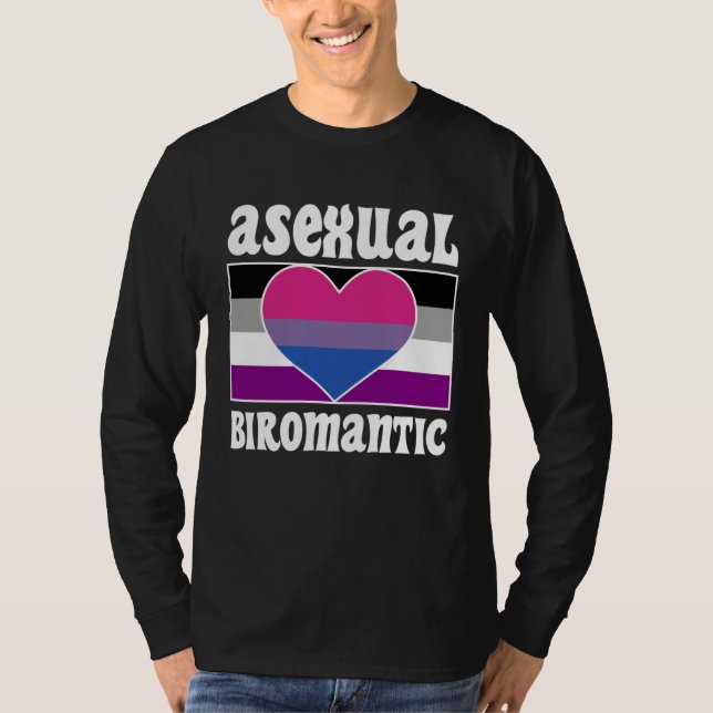 Asexual Biromantic Pride Flag Cute  Ace Aesthetic T-Shirt (Front)