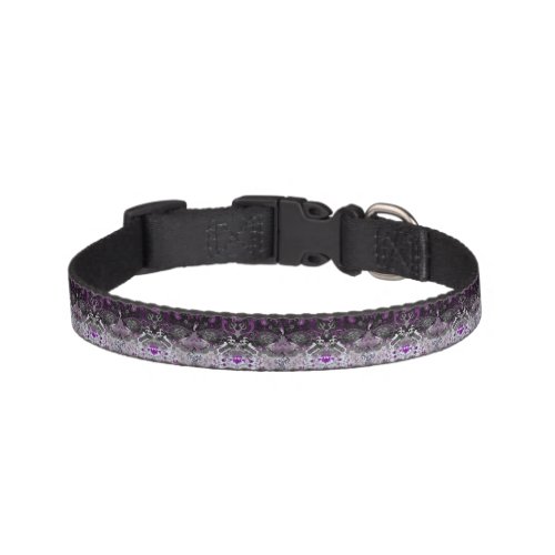 Asexual Dragon Damask _ Ace Pride Flag Colors Pet Collar