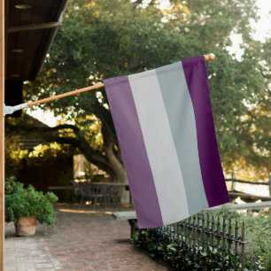 Asexual Flag LGBTQIA Parade Celebration