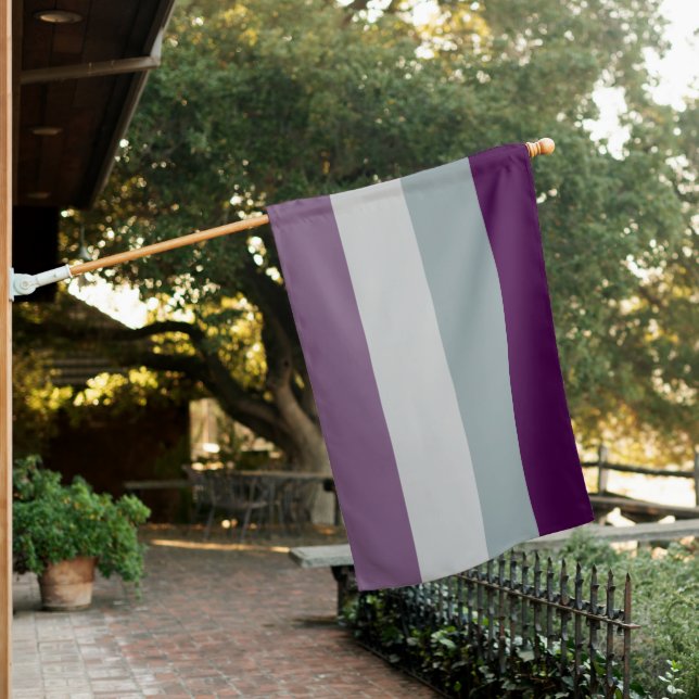 Asexual Flag LGBTQIA Parade Celebration (In SItu)