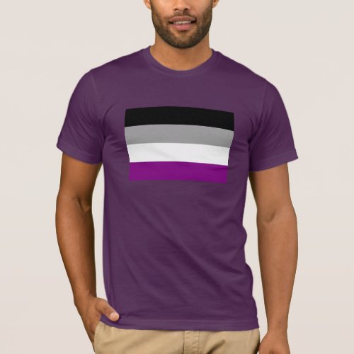 ASEXUAL FLAG ORIGINAL T_Shirt