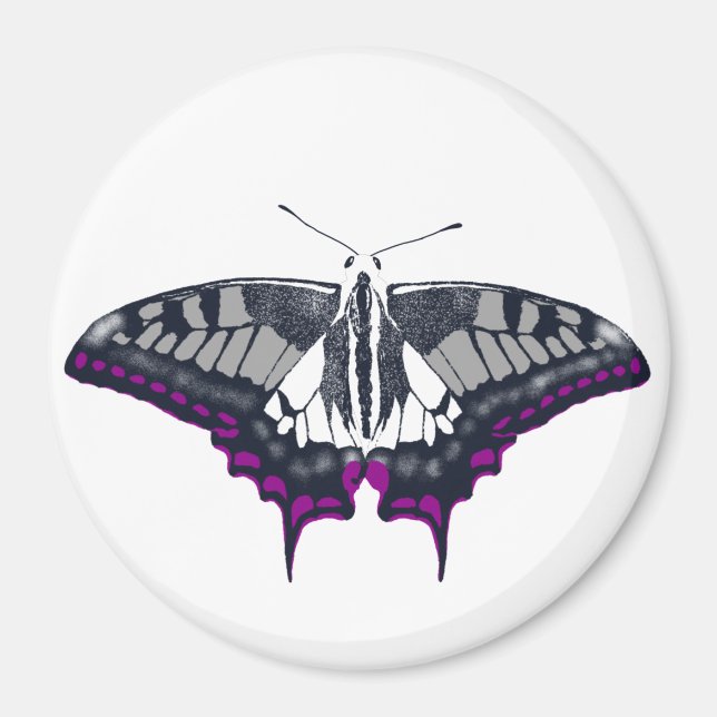 Asexual Flag Swallowtail Butterfly Magnet (Front)