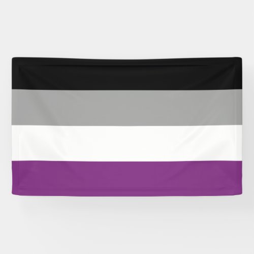 Asexual LGBT Gay Lesbian Transgender Banner