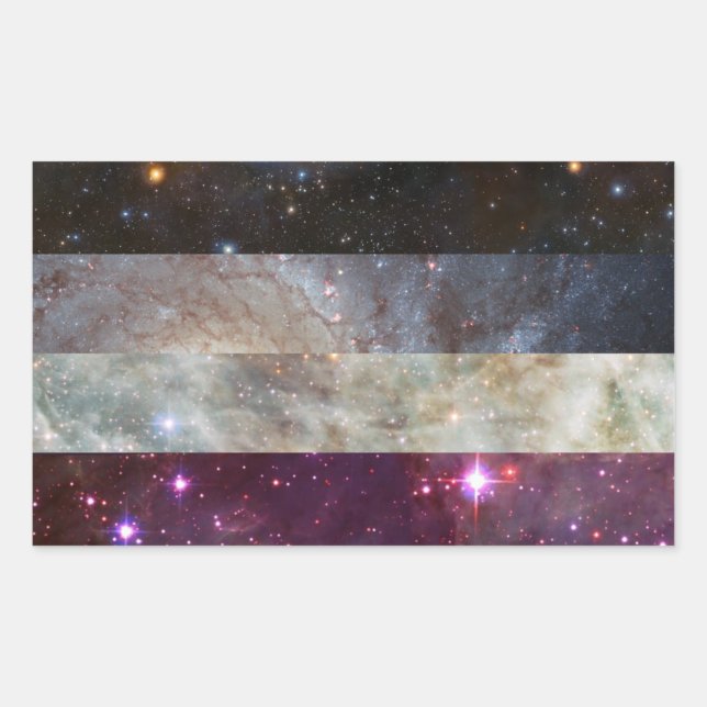 Asexual nebula flag stickers (Front)