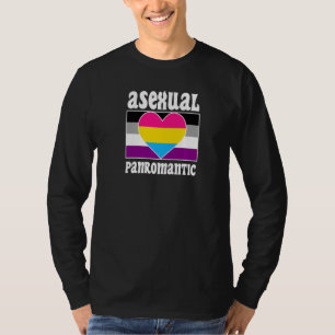 Asexual Panromantic Pride Flag Cute Ace Aesthetic T-Shirt