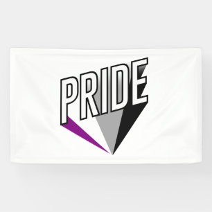 Asexual Pride Burst Banner