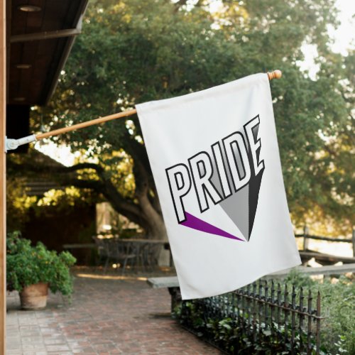 Asexual Pride Burst House Flag