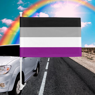 Asexual Pride Car Flag