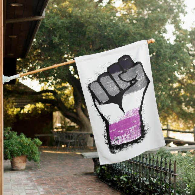 Asexual Pride Fist House Flag (In SItu)