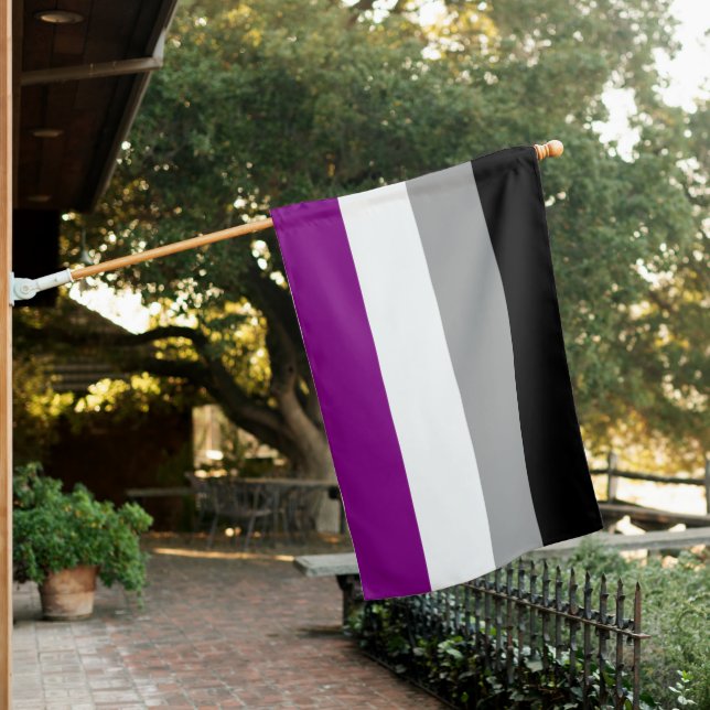 Asexual Pride Flag (In SItu)
