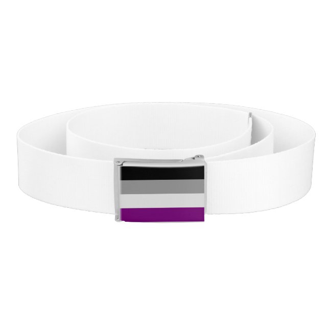 Asexual Pride Flag Belt (Coil)