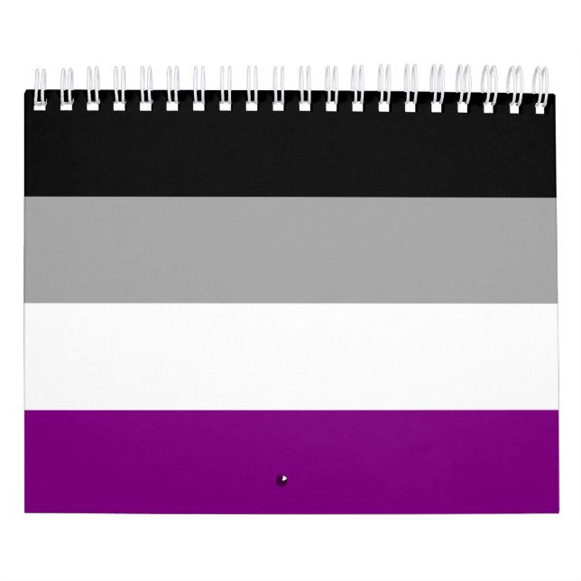 Asexual Pride Flag Calendar (Cover)