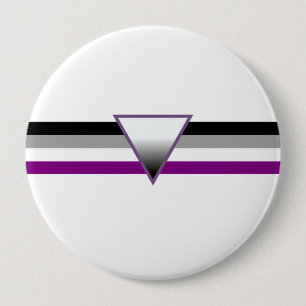 Asexual Pride Flag Pinback Button