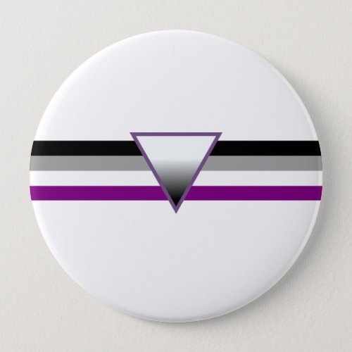 Asexual Pride Flag Pinback Button