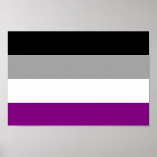 Asexual Pride Flag Poster