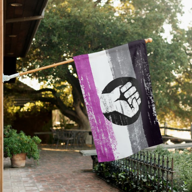 Asexual Pride Protest Flag (In SItu)