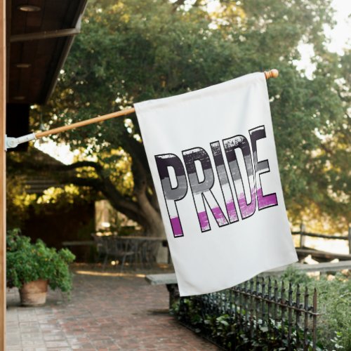 Asexual Pride Word House Flag