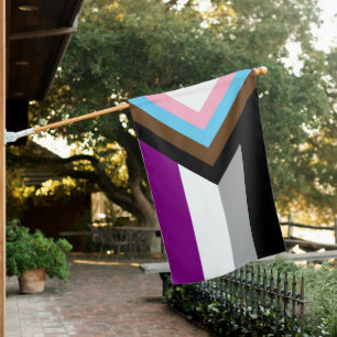 Asexual Progress Pride Flag