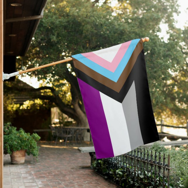 Asexual Progress Pride Flag (In SItu)