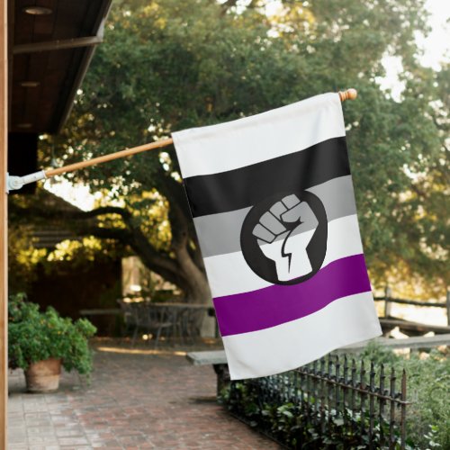 Asexual Protest Flag