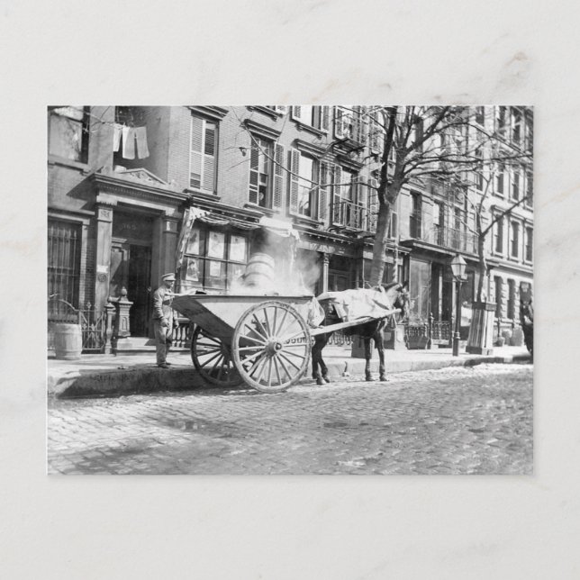Ash Cart New York 1896 Postcard (Front)
