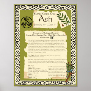 ASH CELTIC SACRED TREE POSTER