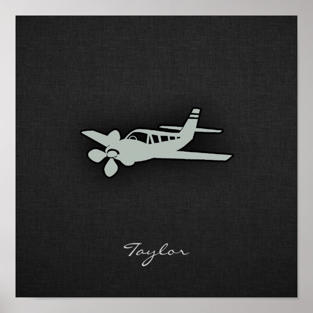 Ash Gray Plane Poster (Front)