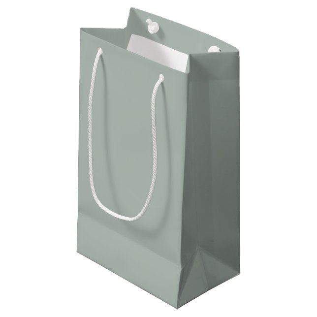Ash Gray Small Gift Bag (Front Angled)