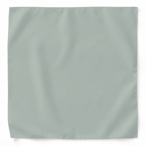 Ash gray solid color bandana