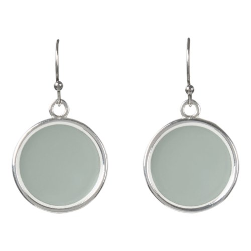 Ash gray solid color earrings