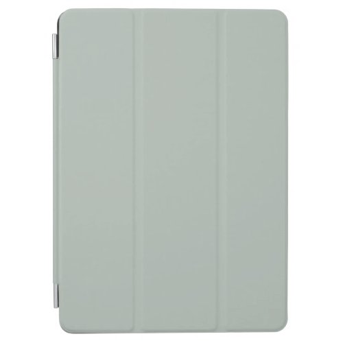Ash gray solid color iPad air cover