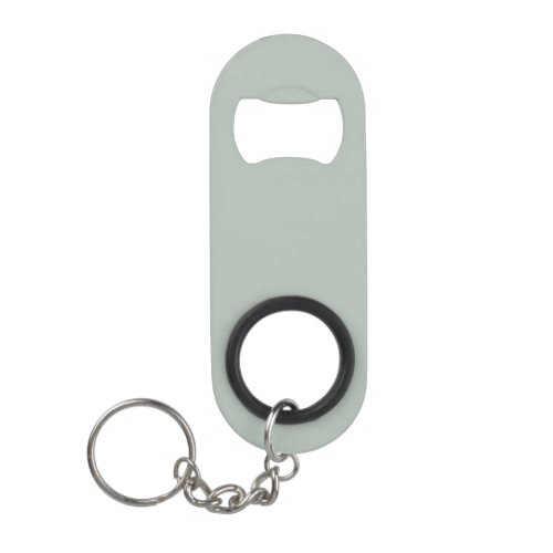 Ash gray solid color keychain bottle opener