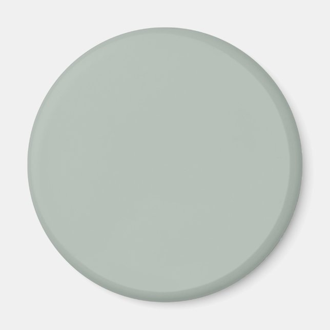 Ash gray (solid color) magnet (Front)