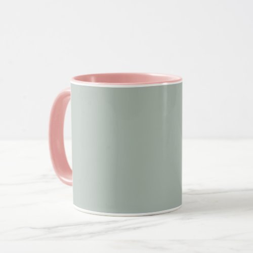 Ash gray solid color mug