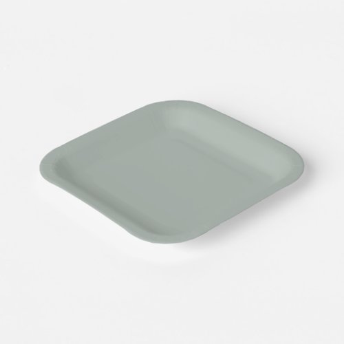 Ash gray solid color paper plates