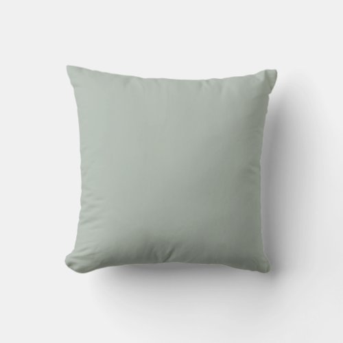 Ash gray solid color throw pillow