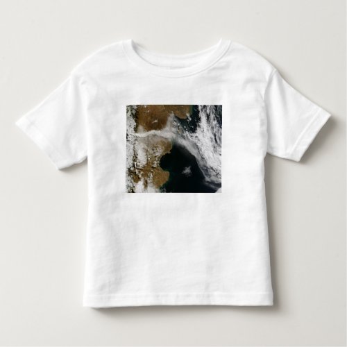Ash plume from eruption of Chaiten volcano Chi Toddler T_shirt