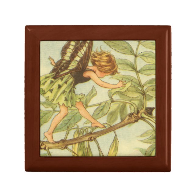 Ash Tree Fairy Walking on Branch Jewelry Box (Front)
