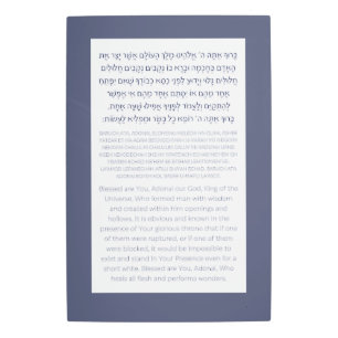 Asher Yatzar Hebrew Blessing Dusty Blue  Metal Print