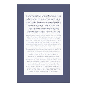 Asher Yatzar Hebrew Blessing Dusty Blue Photo Print