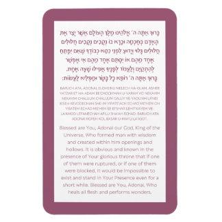 Asher Yatzar Hebrew Blessing Dusty Pink Poster Magnet