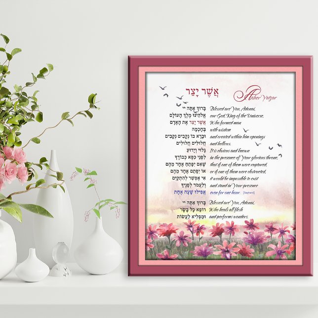 Asher Yatzar Hebrew Morning Prayer Pink Red Cosmos Photo Print (Creator Uploaded)
