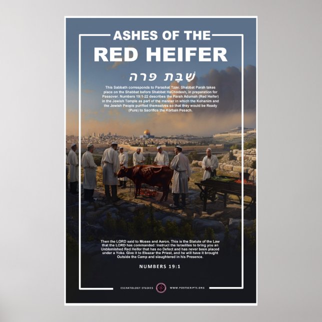 Ashes of the Red Heifer Poster (Front)