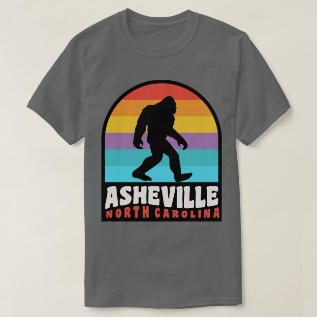 Asheville North olina Blue Ridge Mountains T-Shirt (Design Front)