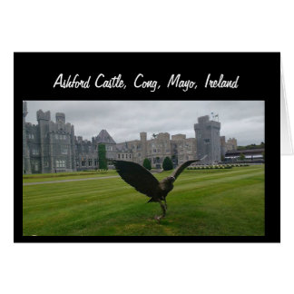 Ashford Castle, Cong, Mayo Cards