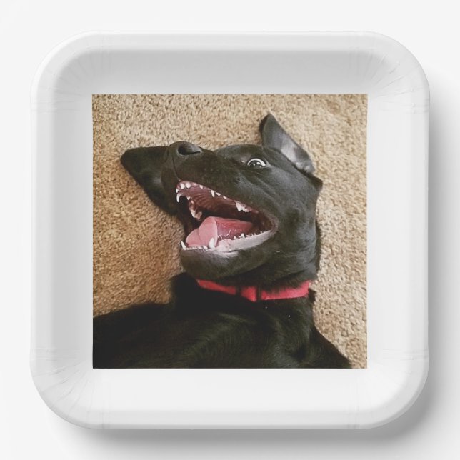 Ashley Noms Plates (Front)