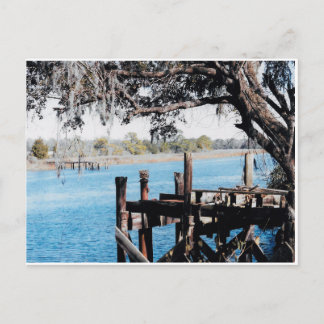 Ashley River Charleston Postcard