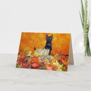 Ashlynn's (Cat / Kitten)  Fall / Thanksgiving Card