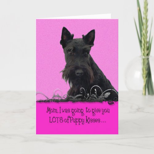 Ashton Mothers Day Licker License Card